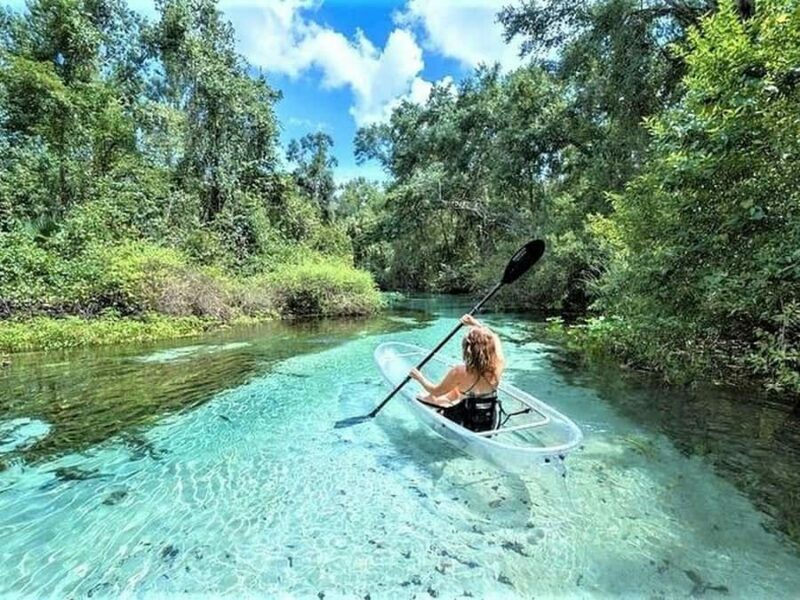 Apopka: Rock Springs Clear Kayak Tour - Who Should Consider This Tour?