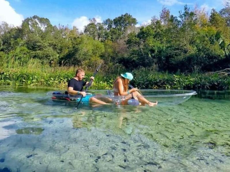 Apopka: Rock Springs Clear Kayak Tour - The Sum Up