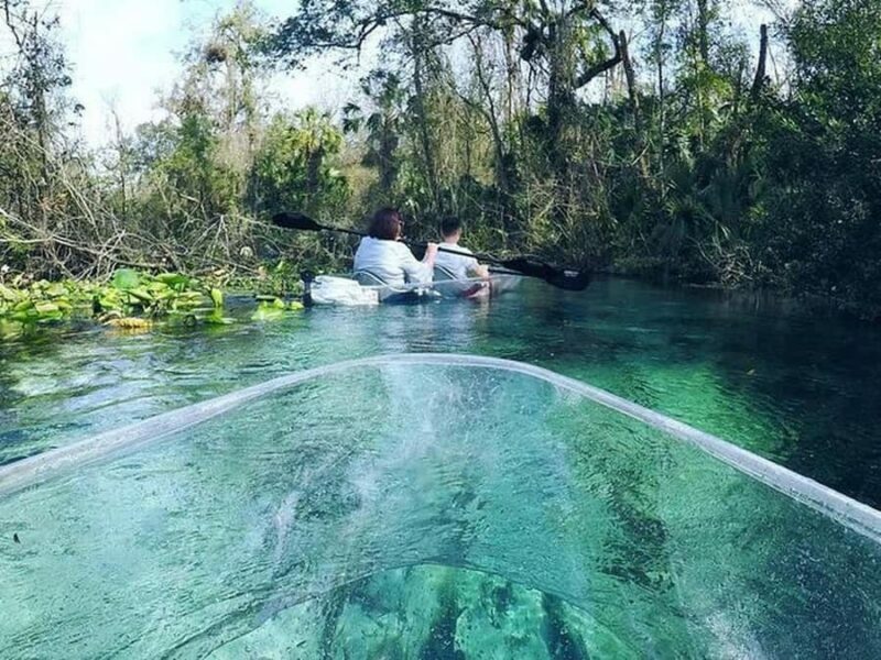 Apopka: Rock Springs Clear Kayak Tour - FAQ
