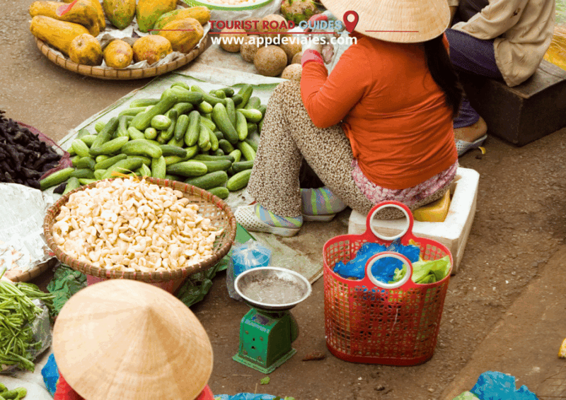 App Self-Guided: Tour Ho Chi Minh - Vietnam - Tour Inclusions and Features