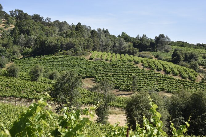 Apple Hill Wine Tasting Tours and Placerville Wine Tasting Tours - Key Points