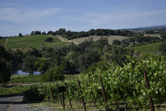 Apple Hill Wine Tasting Tours and Placerville Wine Tasting Tours - Accessibility and Participation