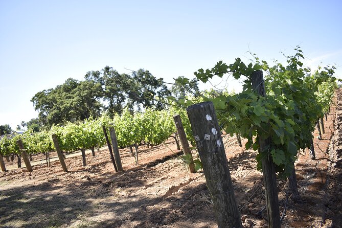 Apple Hill Wine Tasting Tours and Placerville Wine Tasting Tours - Discover Placerville Vineyards