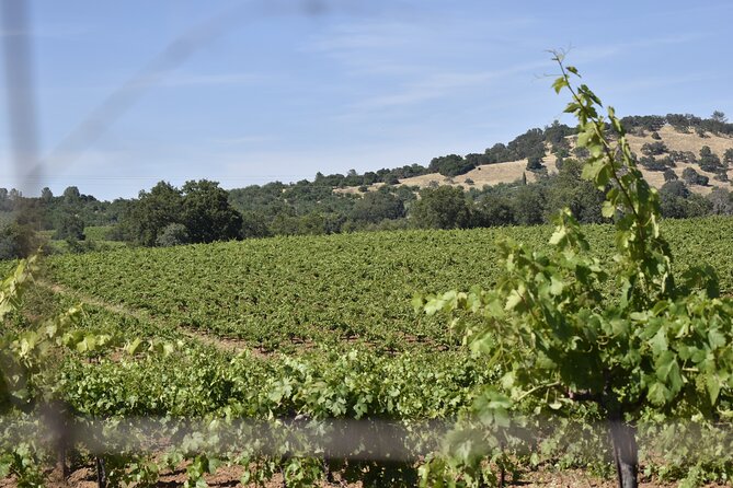 Apple Hill Wine Tasting Tours and Placerville Wine Tasting Tours - Transportation and Logistics