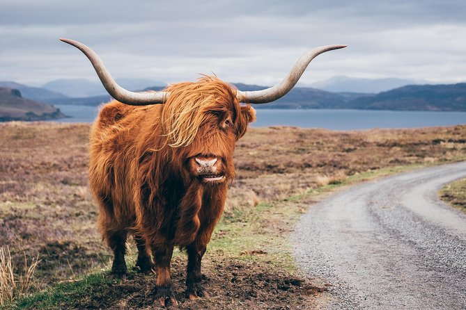 Applecross, Loch Carron & the Wild Highlands From Inverness - Customer Feedback