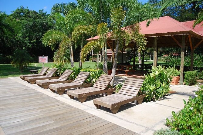 Appleton Estate, Black River Safari and YS Falls - Premium Rum Tasting and Exploration