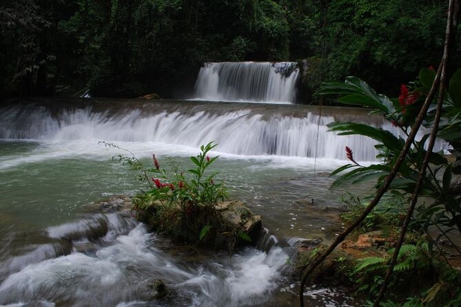 Appleton Estate, Black River Safari and YS Falls - Scenic Black River Safari Journey