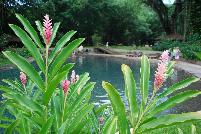 Appleton Estate, Black River Safari and YS Falls - Guided Tour and Photography Opportunities