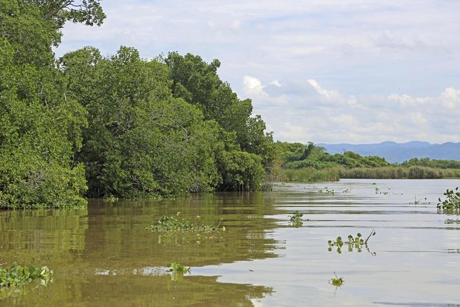 Appleton Estate Rum and Black River Safari Private Tour - About Your Stay