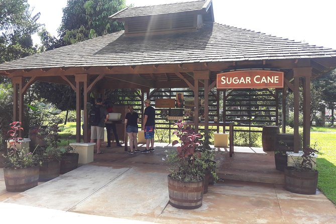 Appleton Estate Rum and Pelican Bar Private Tour From Montego Bay - Visiting Appleton Estate