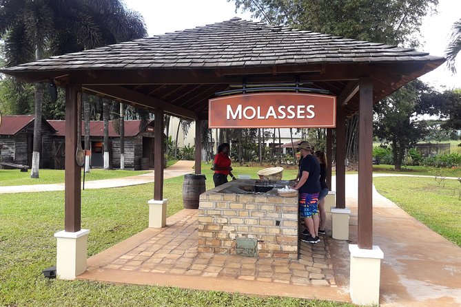 Appleton Estate Rum and Pelican Bar Private Tour From Montego Bay - Guest Reviews