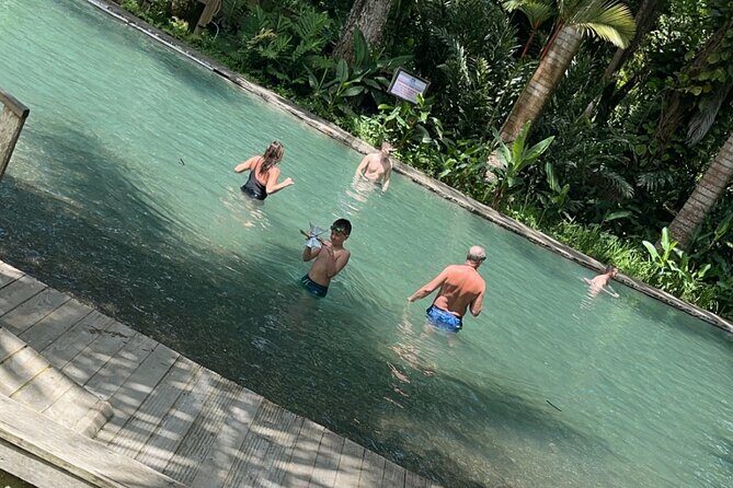 Appleton estate,YS Falls,Black River Safari,Pelican Bar(any 3of4) - Authenticity and Enjoyment: Real Travelers’ Insights