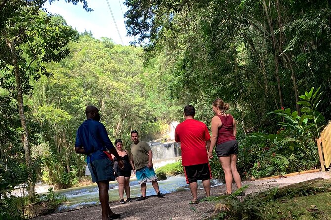 Appleton Estate,Ys Falls,Black River Safari,Pelican Bar(Any 3of4) - Booking Information and Policies