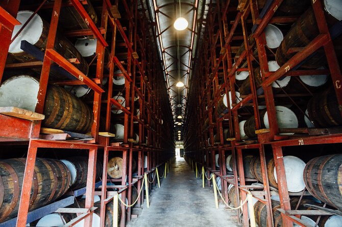 Appleton Rum Estate and Ys Falls From Montego Bay - Health and Safety