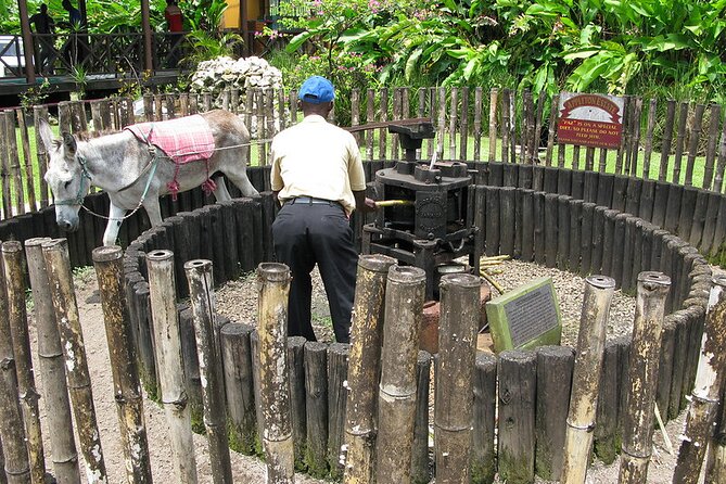 Appleton Rum Estate and Ys Falls From Montego Bay - Exploring Appleton Rum Estate