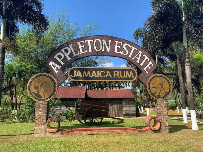 Appleton Rum Factory and Black River Safari Tour - Black River Safari