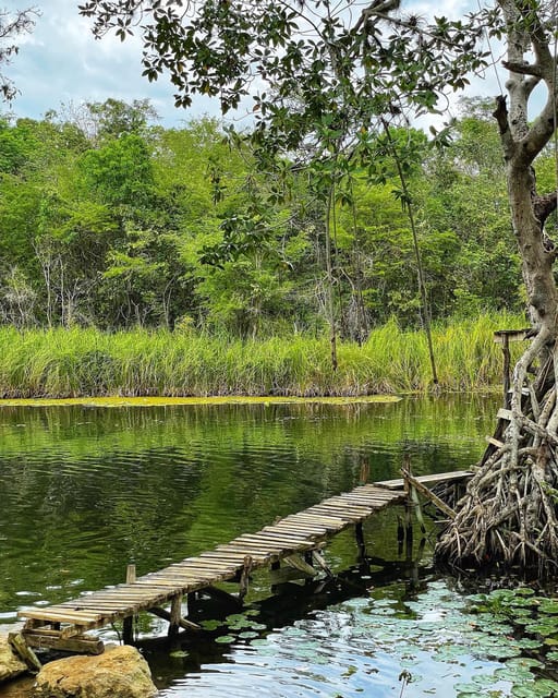 Appleton Rum Factory and Black River Safari Tour - Jamaican History and Culture