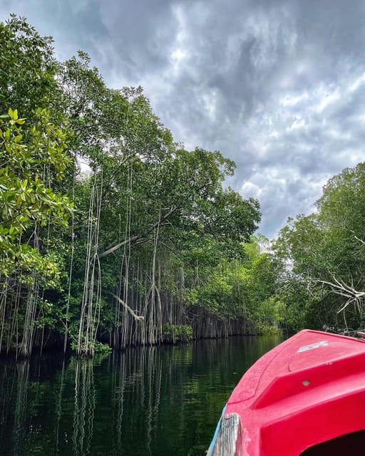 Appleton Rum Factory and Black River Safari Tour - Inclusions and Ratings