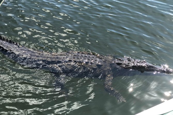 Appleton Rum Factory, Ys Falls, Black River Safari, Floyd's Pelican Bar - Pricing and Inclusions