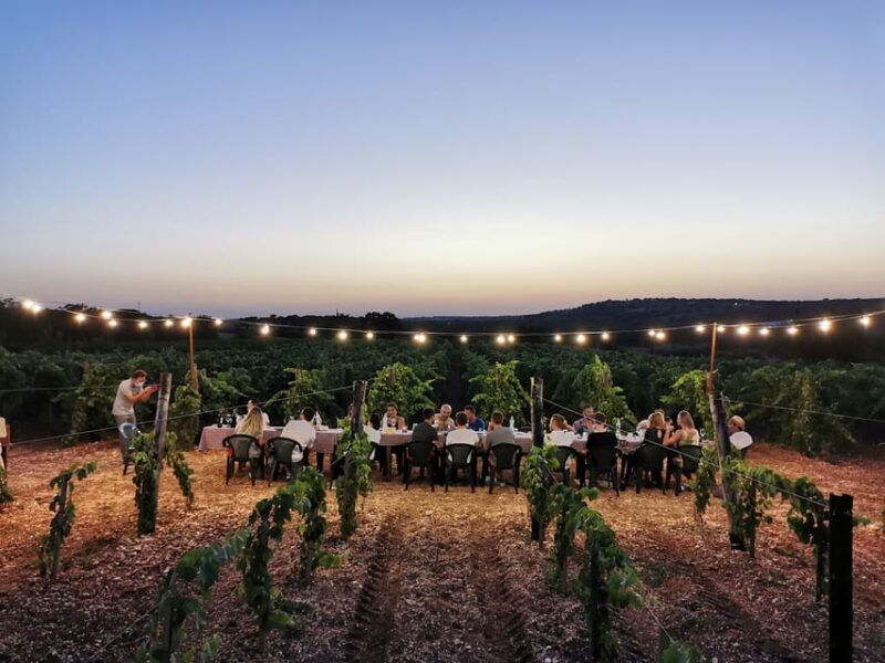 Apulia: Guided Wine Tasting With Local Appetizers - Key Points