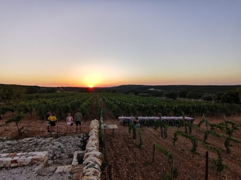 Apulia: Guided Wine Tasting With Local Appetizers - Experience Overview