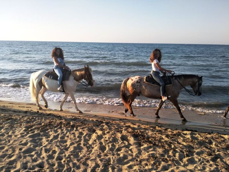 Apulia: Horseback Riding Trip in Parco Dune Costiere - Experience Details