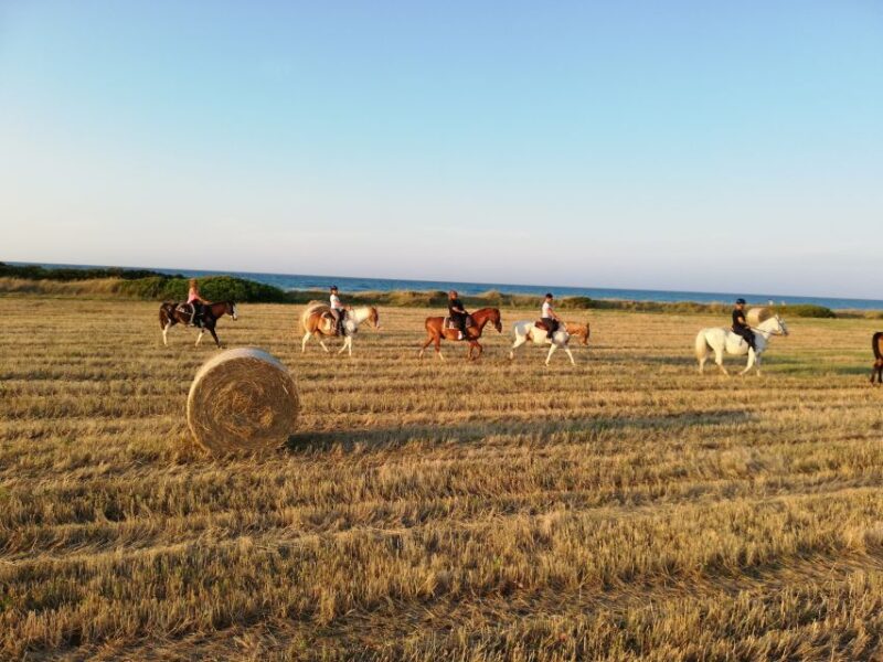 Apulia: Horseback Riding Trip in Parco Dune Costiere - Route and Scenery