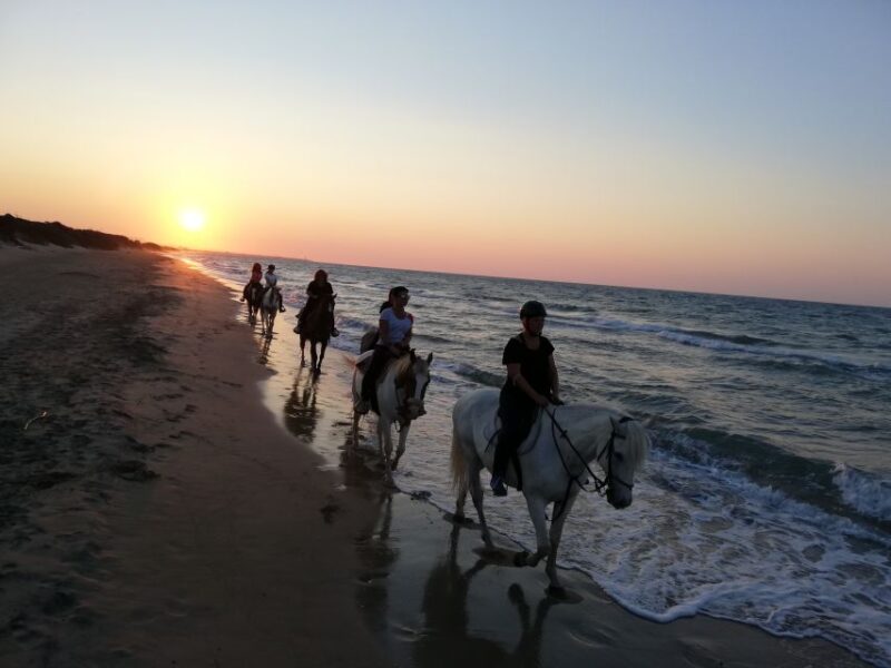 Apulia: Horseback Riding Trip in Parco Dune Costiere - Important Information