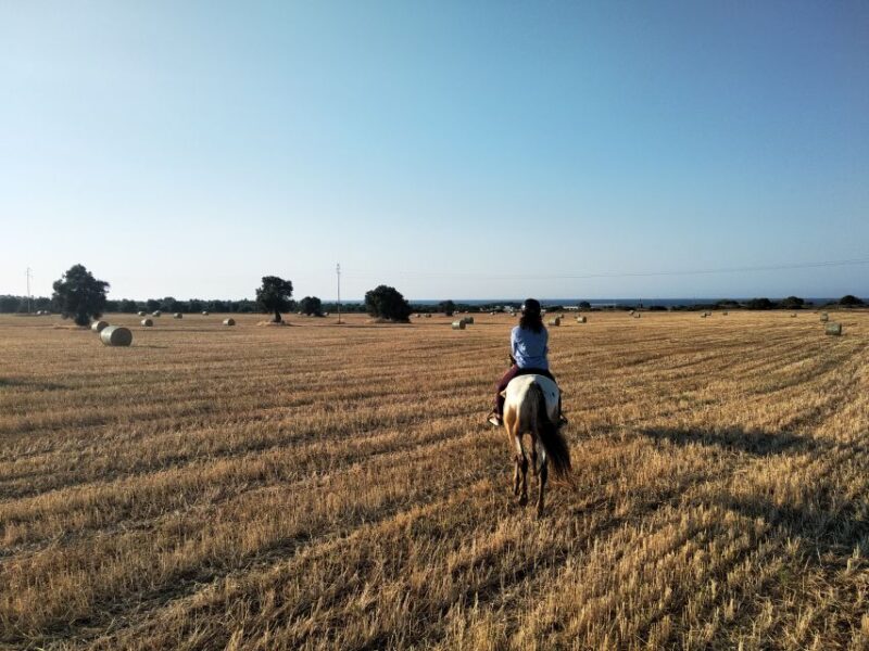 Apulia: Horseback Riding Trip in Parco Dune Costiere - Preparing for the Ride