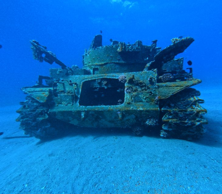 Aqaba: Private Introductory Red Sea Dive From the Shore - Location and Itinerary