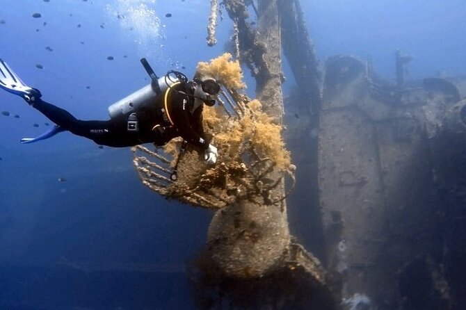 Aqaba Private Scuba Diving Activity With Pick up - Accessibility and Transportation