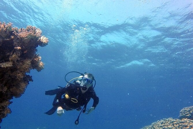 Aqaba Private Scuba Diving Activity With Pick up - Cancellation and Refund Policy