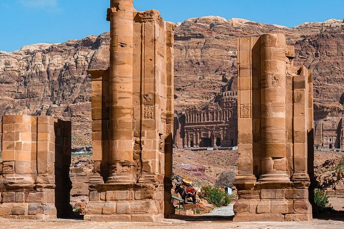 Aqaba Taxi for (Full Day Petra , Wadi Rum and All Transportation) - Customer Reviews and Ratings