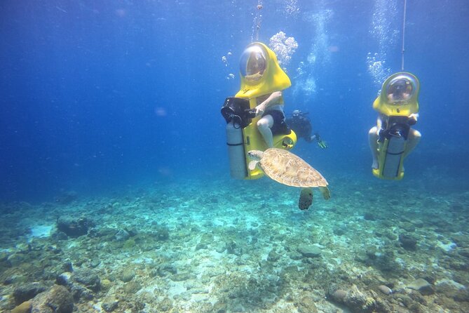 Aquafari Tour in Curaçao - Eligibility Requirements