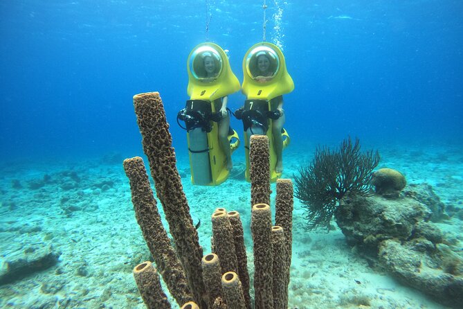Aquafari Tour in Curaçao - Customer Experiences and Ratings