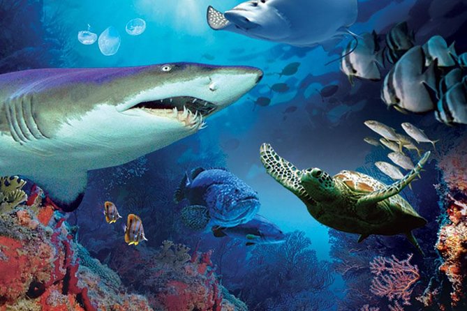 Aquaria KLCC Admission With Kuala Lumpur City Famous Landmarks - Highlights of Kuala Lumpur Landmarks
