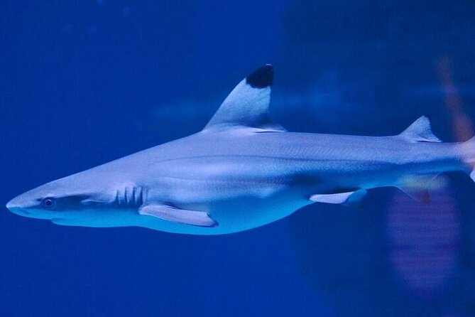 Aquaria Phuket - INTER MARKET - Location and Transportation