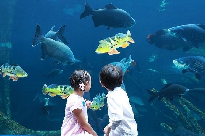 Aquaria Phuket - INTER MARKET - Hours of Operation