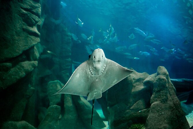 Aquario and Biopark Half-Day Tour - Schedule and Accessibility
