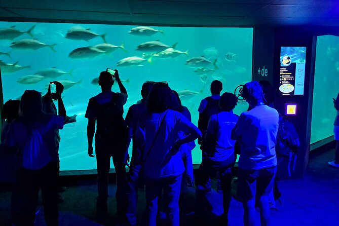Aquario and Biopark Half-Day Tour - Discovering Biopark