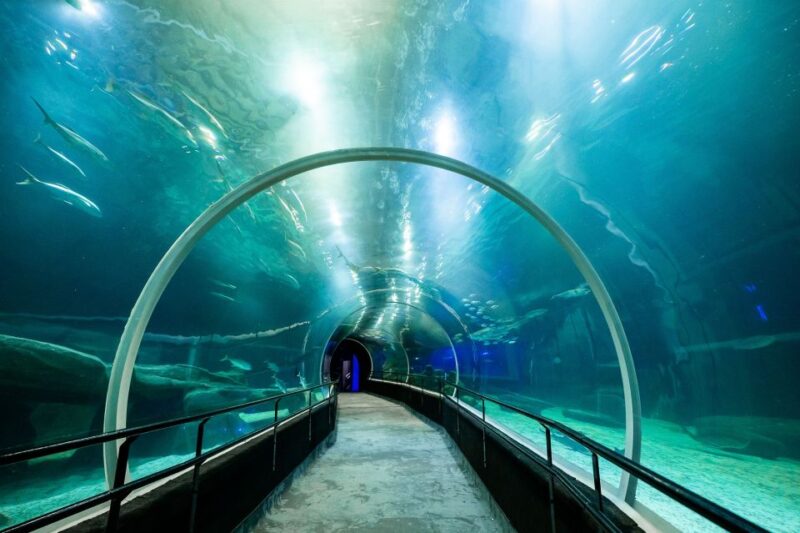 AquaRio and Olympic Boulevard Small Group Tour - About AquaRio