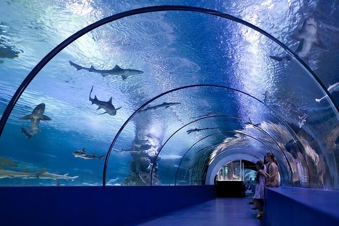 Aquarium and Face to Face Wax Museum in Antalya - Key Points