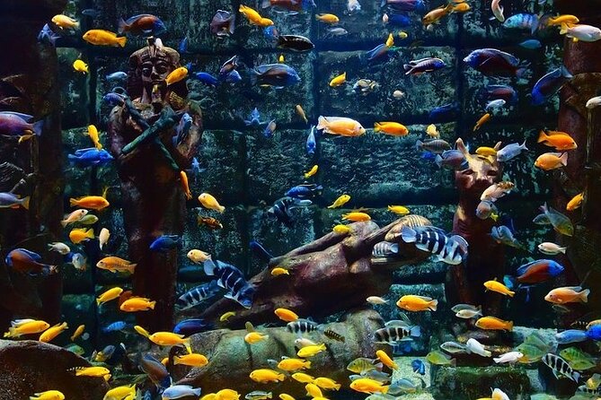 Aquarium and Face to Face Wax Museum in Antalya - Transportation and Pickup Details