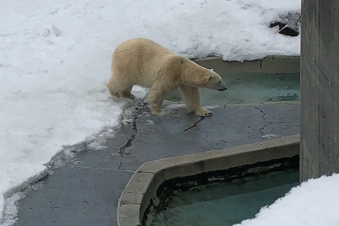 Aquarium Du Quebec: a Playground Overflowing With Life! - Feeding Time Spectacles