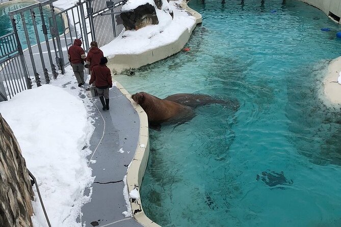 Aquarium Du Quebec: a Playground Overflowing With Life! - Visitor Reviews and Feedback