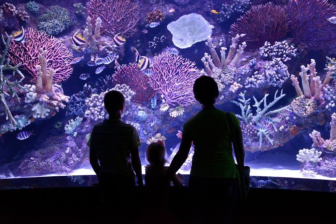 Aquarium & Face2face Wax Museum From Antalya - Inclusions and Exclusions