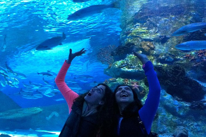 Aquarium & Face2face Wax Museum From Antalya - Meeting and Pickup Details
