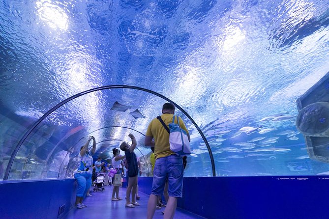 Aquarium & Face2face Wax Museum From Kemer - Meeting and Pickup Details