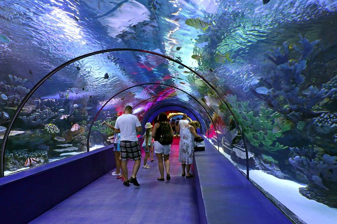 Aquarium & Face2face Wax Museum From Kemer - Booking and Cancellation Policy