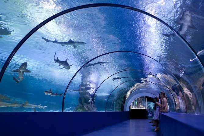 Aquarium & Face2face Wax Museum From Side - Pickup Details